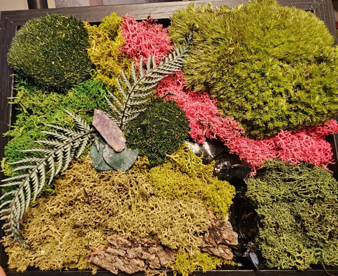 Moss Art Creation