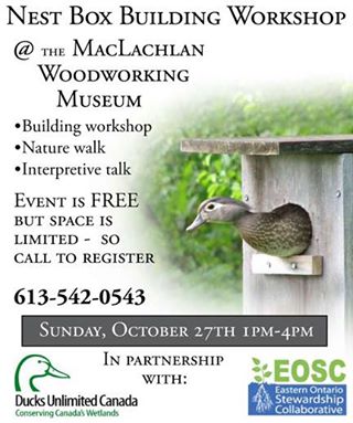 Nest Box Building Workshop