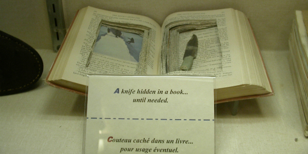 Shiv in Book
