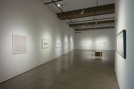 gallery 2