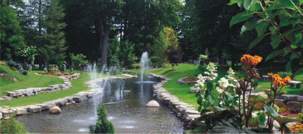 Forest Pond