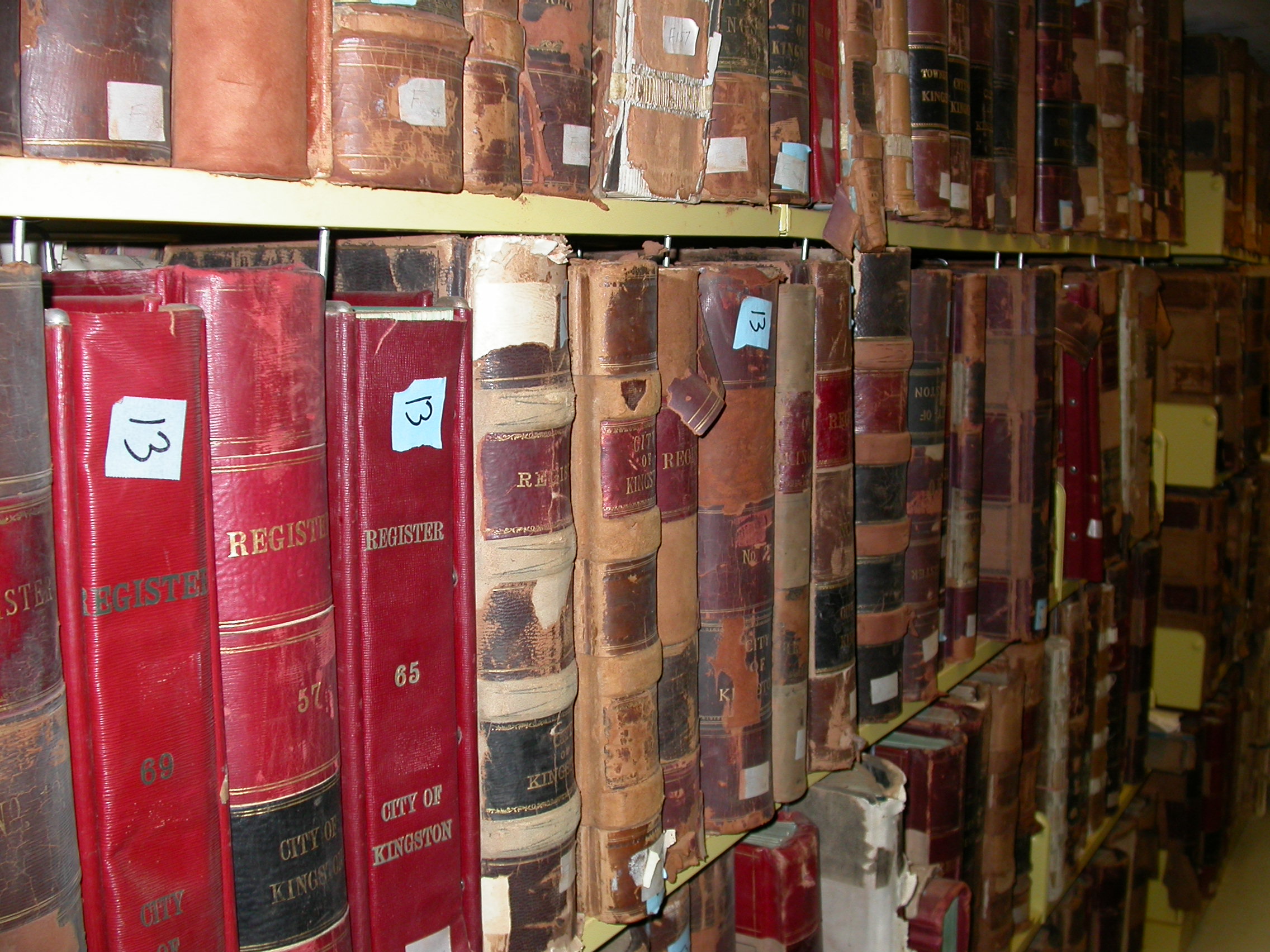 Shelves of books