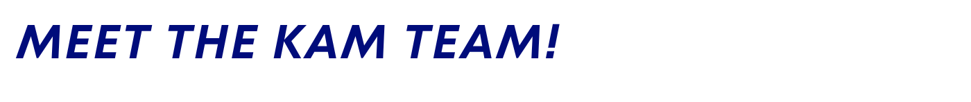 Meet the KAM Team!