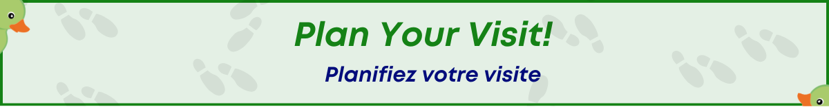 Graphic- Plan your visit, Graphique - Planifiez votre visite