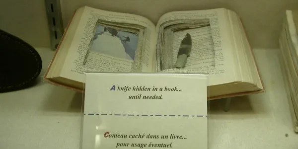 Shiv in Book