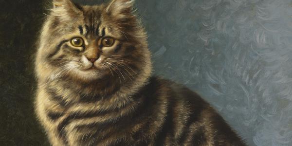 Couldery Collection - Sitting Cat