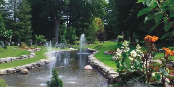 Forest Pond