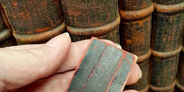 Thumb Bible