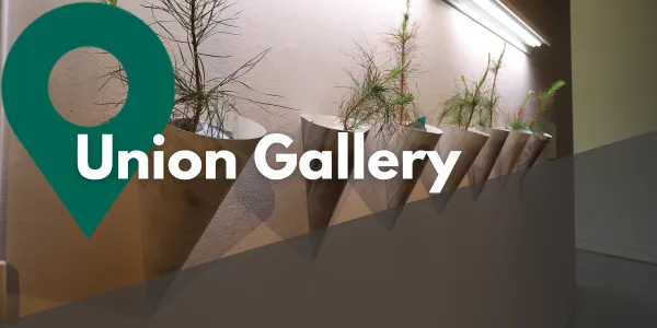 Take a Closer Look at Union Gallery