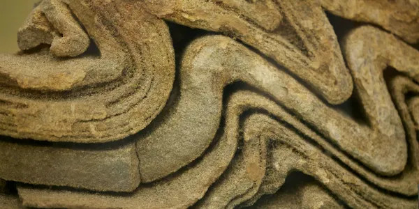 Metamorphic Folded Rock