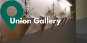 Take a Closer Look at Union Gallery